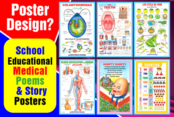 Gig Preview - Create school educational,medical poster,flyer, infographic design in 12h