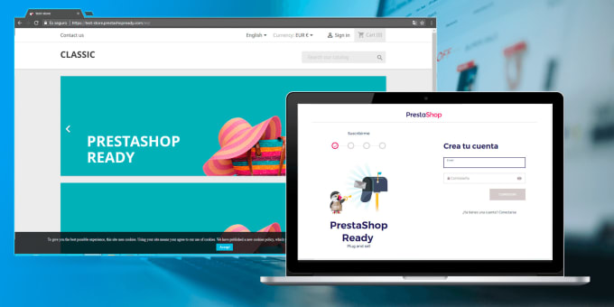 Gig Preview - Install and setup prestashop ecommerce shop