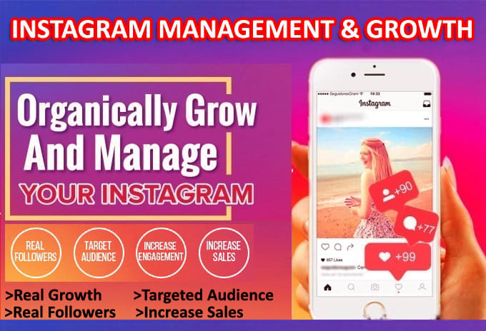 Gig Preview - Professionally manage and grow your instagram account