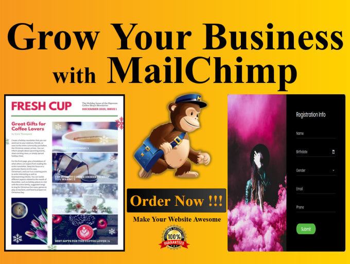 Gig Preview - Create professional mailchimp email template newsletter and automation