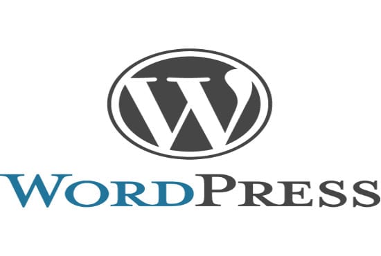 Gig Preview - Develop your awesome wordpress website