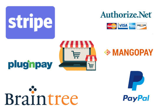 Gig Preview - Integrate stripe, stripe connect payment gateway