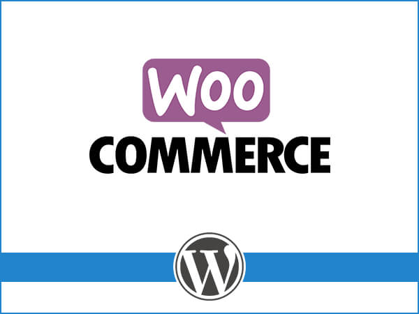 Gig Preview - Customize woocommerce plugin for you