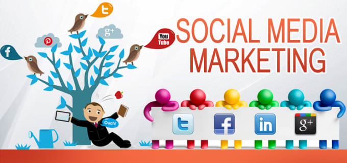 Gig Preview - Create social media profiles, seo, smo