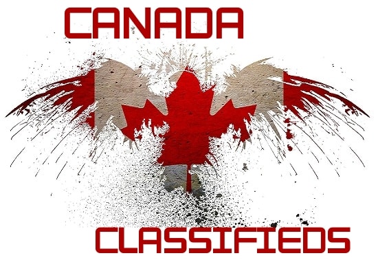 Gig Preview - Manually post your business in 10 canada classified sites , canadian