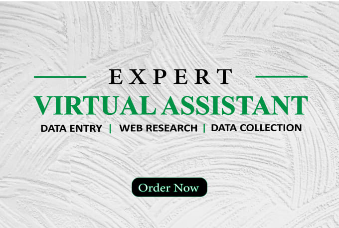 Gig Preview - Be your virtual assistant for web research and data entry