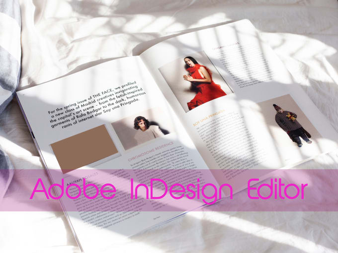 Gig Preview - Do adobe indesign work, editable pdf, prezi presentation, avery mailing labels