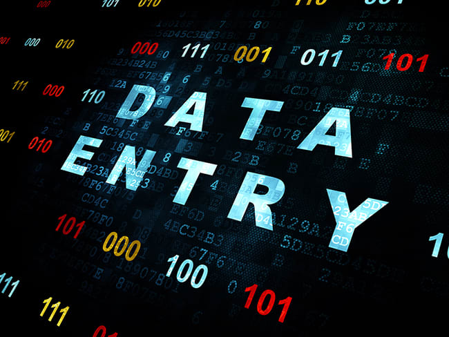 Gig Preview - Professionally do your excel data entry work