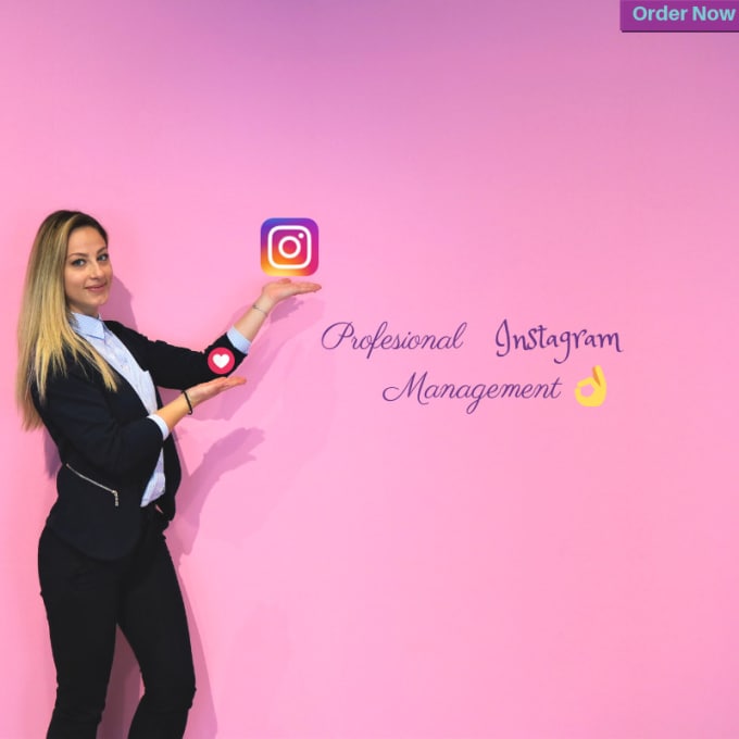 Gig Preview - Professionally grow and manage your instagram account