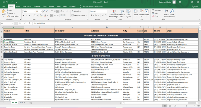 Gig Preview - Clean your excel data perfectly