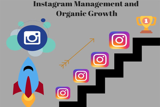 Gig Preview - Manage instagram and grow it organically