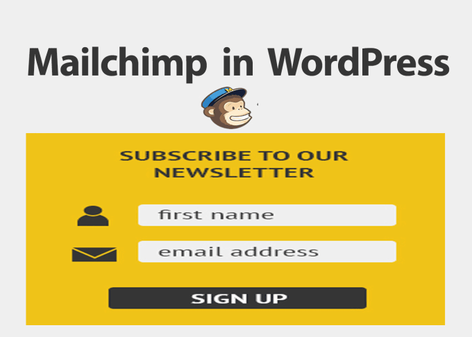 Gig Preview - Add mailchim optin form in 24 hr on wordpress