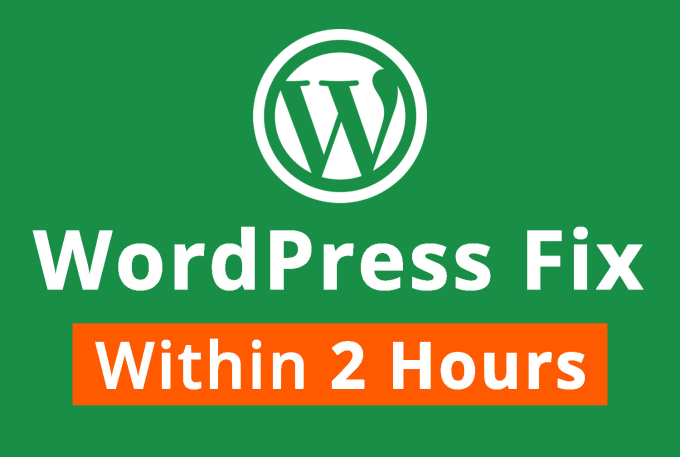 Gig Preview - Quickly fix any wordpress issues or errors