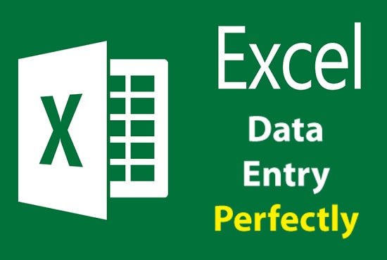 Gig Preview - Do excel data entry