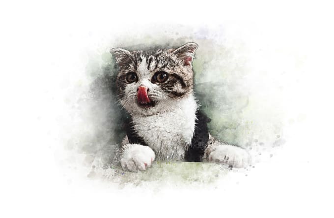 Gig Preview - Paint digital watercolor portrait of your pets, cat, dog