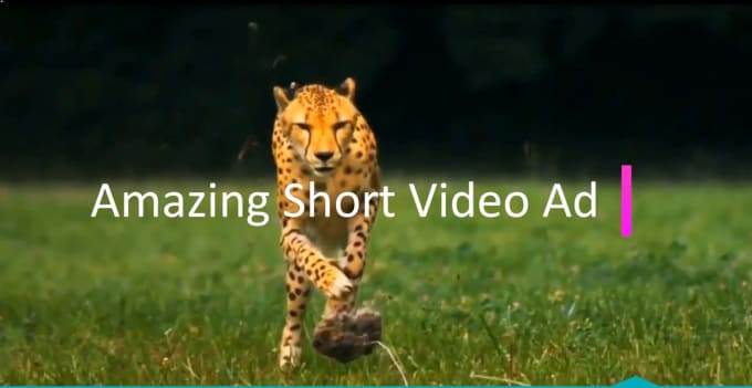 Gig Preview - Do amazing short video ads