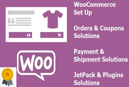 Gig Preview - Create a branded woocommerce website