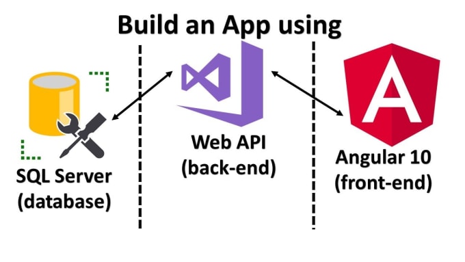 Gig Preview - Develop website with dot net and angular