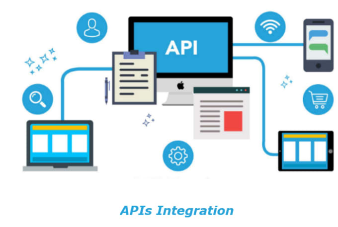 Gig Preview - Do API integration for your portal