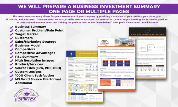 Gig Preview - Prepare a business investment summary