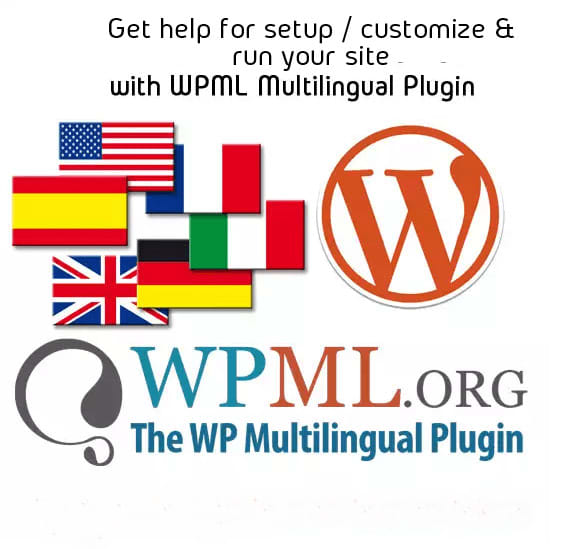 Gig Preview - Customize wpml wordpress website,menu translation errors,wpml translation issues