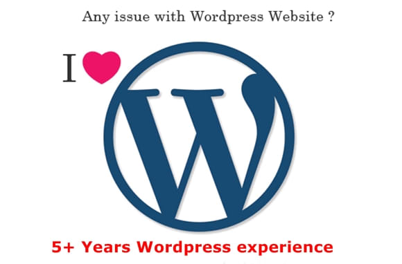 Gig Preview - Fix your wordpress website issues,customize as required