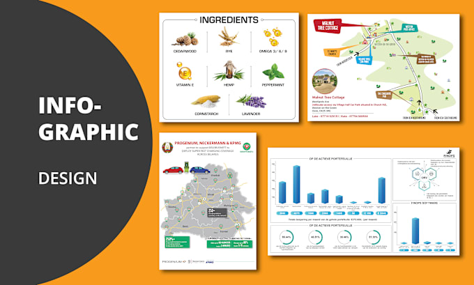 Gig Preview - Design unique and custom infographic