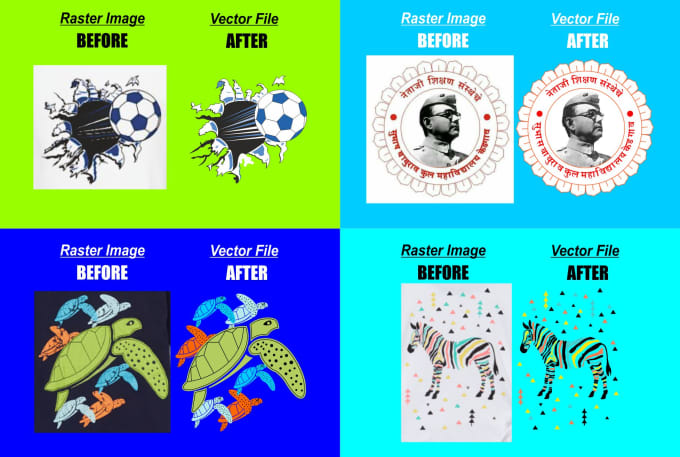 Gig Preview - Vector trace or redraw your image in vector format