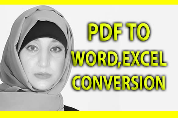 Gig Preview - Convert PDF to excel and word