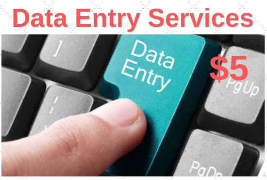 Gig Preview - Do 2 hours of data entry services