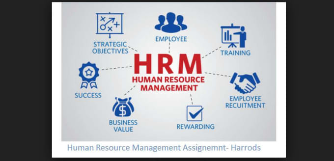 Gig Preview - Write human resource management content