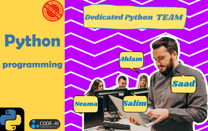 Gig Preview - Do your python programming script program project