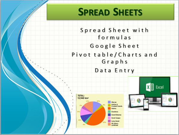 Gig Preview - Prepare excel spread sheet using formulas, tables, chart, and graph