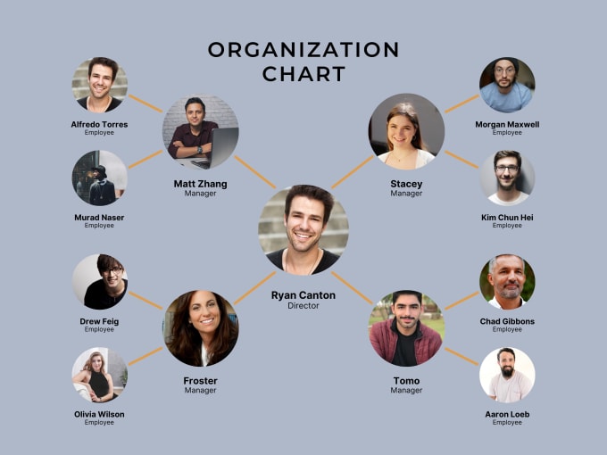 Gig Preview - Design creative editable organization chart, family tree diagram