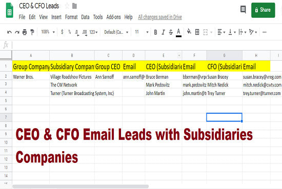 Gig Preview - Collect data for CEO MD cfo directors owners email leads