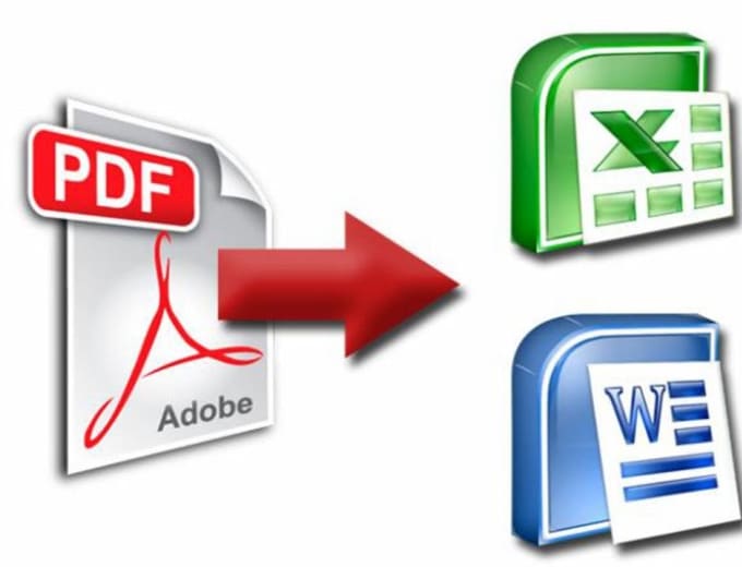 Gig Preview - Convert any PDF or jpg files into word, excel or google docs