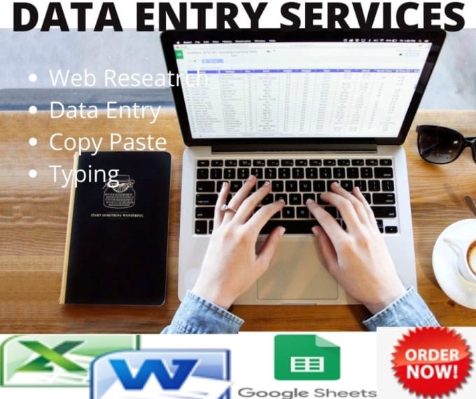 Gig Preview - Provide error free data entry service