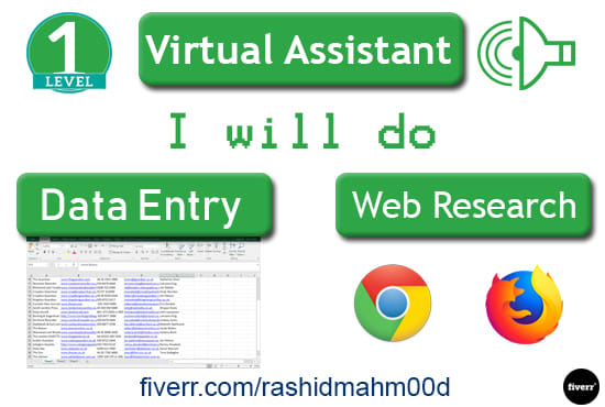 Gig Preview - Be your virtual assistant for data entry and web research