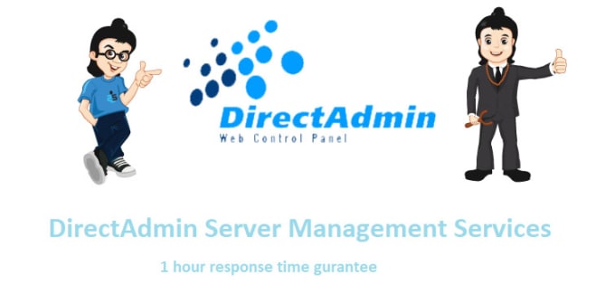 Gig Preview - Solve directadmin  related issues