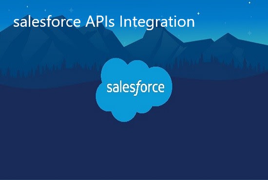 Gig Preview - Integrate any system with salesforce