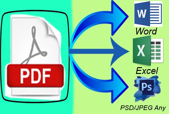 Gig Preview - Transform your pdf to word, excel or photoshop format