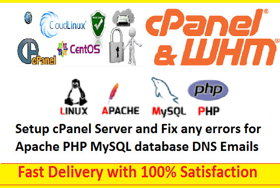 Gig Preview - Setup cpanel server and fix any errors for apache php mysql database dns emails