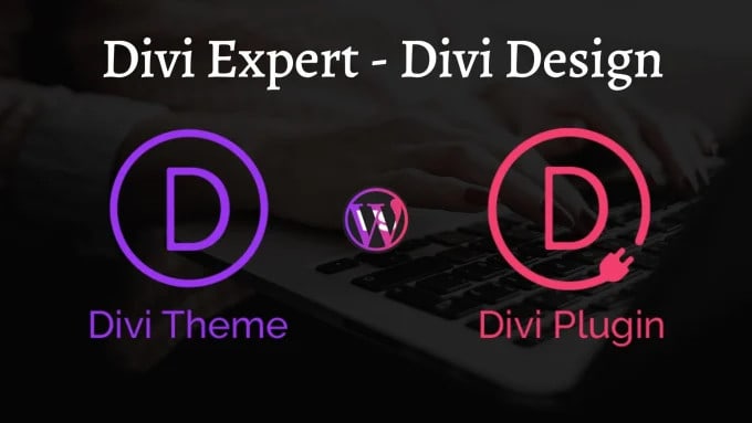 Gig Preview - Be wordpress expert for divi website, custom divi theme