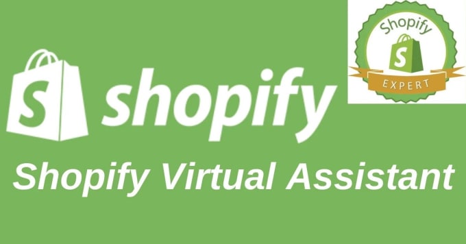 Gig Preview - Be your shopify virtual assistant