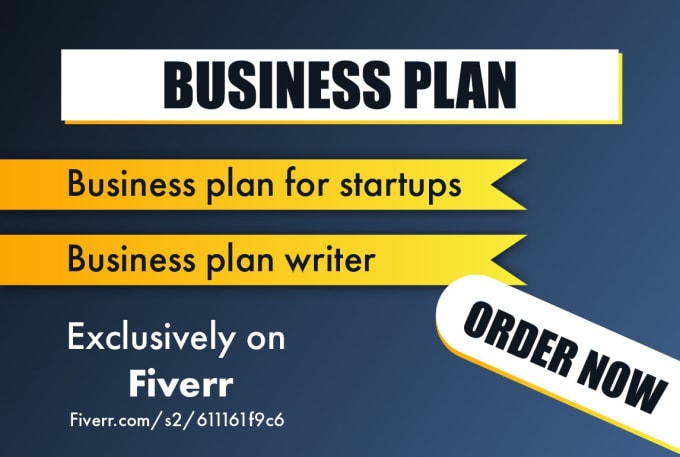 Gig Preview - Write startup investment and loan business plan