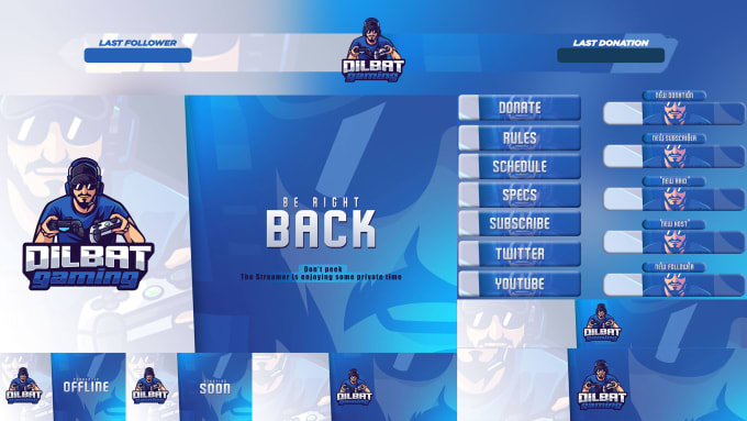 Gig Preview - Create best twitch overlay stream package and logo