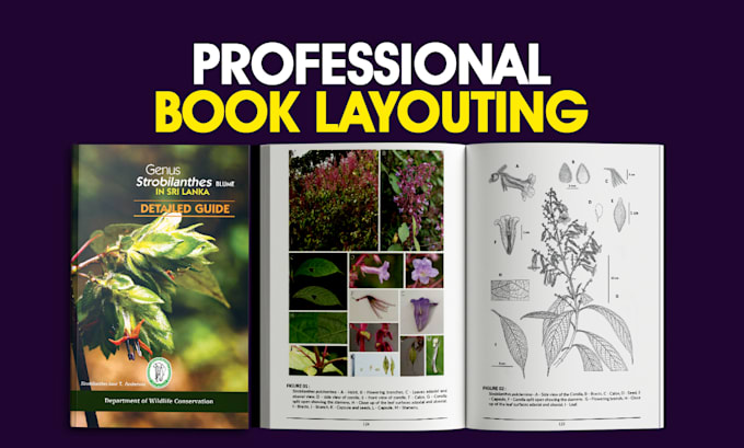 Gig Preview - Do professional book layout