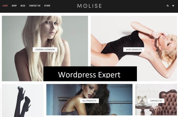 Gig Preview - Develop a ecommerce website online store using woocommerce