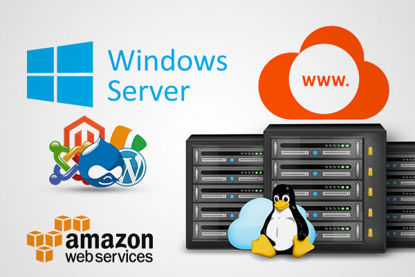 Gig Preview - Provide rdp vps linux and windows server