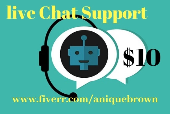 Gig Preview - Provide live chat support